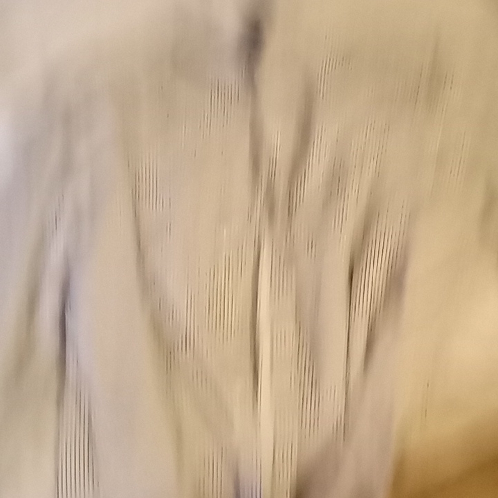 Men's button down dress shirt